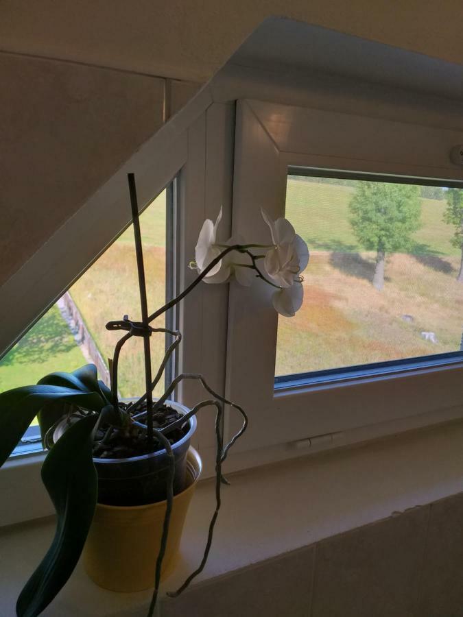 U Pohody Hotell Kovářská Exteriör bild